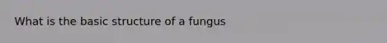 What is the basic structure of a fungus