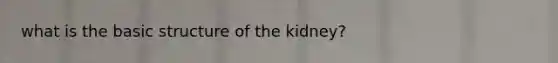 what is the basic structure of the kidney?