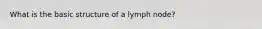 What is the basic structure of a lymph node?