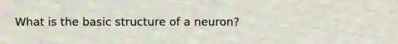 What is the basic structure of a neuron?