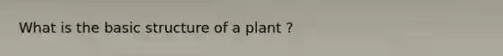 What is the basic structure of a plant ?