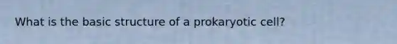 What is the basic structure of a prokaryotic cell?