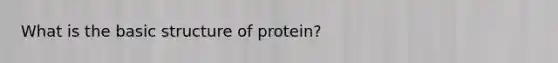 What is the basic structure of protein?