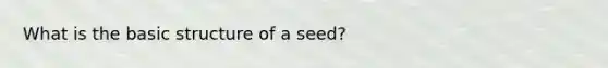 What is the basic structure of a seed?