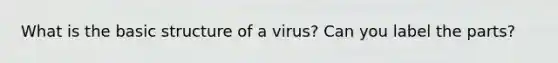 What is the basic structure of a virus? Can you label the parts?