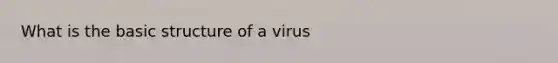 What is the basic structure of a virus