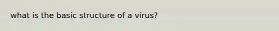 what is the basic structure of a virus?