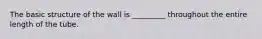 The basic structure of the wall is _________ throughout the entire length of the tube.