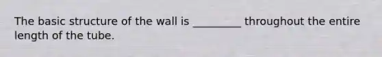 The basic structure of the wall is _________ throughout the entire length of the tube.