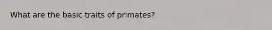 What are the basic traits of primates?