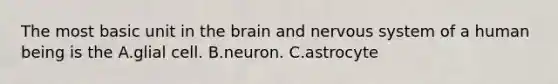 The most basic unit in the brain and nervous system of a human being is the A.​glial cell. B.​neuron. C.astrocyte