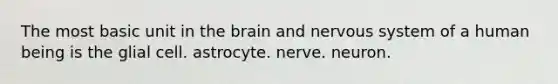 The most basic unit in the brain and nervous system of a human being is the glial cell. astrocyte. nerve. neuron.