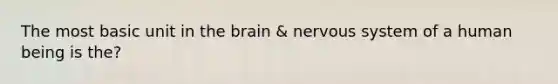 The most basic unit in the brain & nervous system of a human being is the?