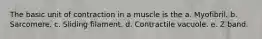 The basic unit of contraction in a muscle is the a. Myofibril. b. Sarcomere. c. Sliding filament. d. Contractile vacuole. e. Z band.