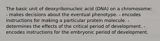 The basic unit of deoxyribonucleic acid (DNA) on a chromosome: - makes decisions about the eventual phenotype. - encodes instructions for making a particular protein molecule. - determines the effects of the critical period of development. - encodes instructions for the embryonic period of development.