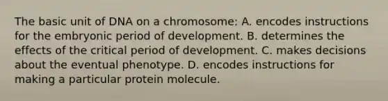 The basic unit of DNA on a chromosome: A. encodes instructions for the embryonic period of development. B. determines the effects of the critical period of development. C. makes decisions about the eventual phenotype. D. encodes instructions for making a particular protein molecule.