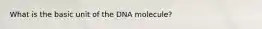 What is the basic unit of the DNA molecule?