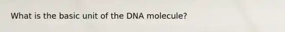 What is the basic unit of the DNA molecule?