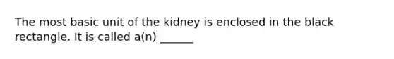 The most basic unit of the kidney is enclosed in the black rectangle. It is called a(n) ______