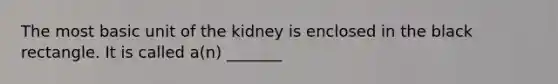 The most basic unit of the kidney is enclosed in the black rectangle. It is called a(n) _______