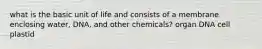 what is the basic unit of life and consists of a membrane enclosing water, DNA, and other chemicals? organ DNA cell plastid