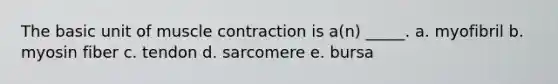 The basic unit of muscle contraction is a(n) _____. a. myofibril b. myosin fiber c. tendon d. sarcomere e. bursa