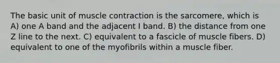 The basic unit of <a href='https://www.questionai.com/knowledge/k0LBwLeEer-muscle-contraction' class='anchor-knowledge'>muscle contraction</a> is the sarcomere, which is A) one A band and the adjacent I band. B) the distance from one Z line to the next. C) equivalent to a fascicle of muscle fibers. D) equivalent to one of the myofibrils within a muscle fiber.