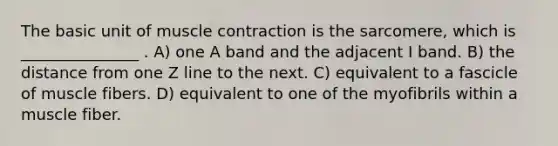 The basic unit of muscle contraction is the sarcomere, which is _______________ . A) one A band and the adjacent I band. B) the distance from one Z line to the next. C) equivalent to a fascicle of muscle fibers. D) equivalent to one of the myofibrils within a muscle fiber.