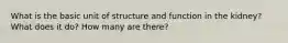 What is the basic unit of structure and function in the kidney? What does it do? How many are there?