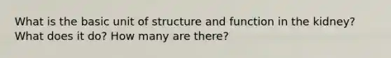 What is the basic unit of structure and function in the kidney? What does it do? How many are there?