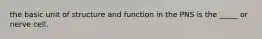 the basic unit of structure and function in the PNS is the _____ or nerve cell.