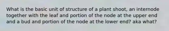 What is the basic unit of structure of a plant shoot, an internode together with the leaf and portion of the node at the upper end and a bud and portion of the node at the lower end? aka what?