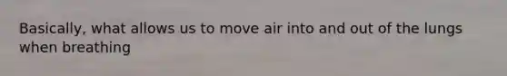 Basically, what allows us to move air into and out of the lungs when breathing