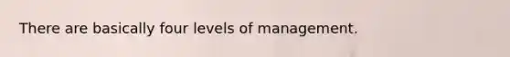 There are basically four levels of management.