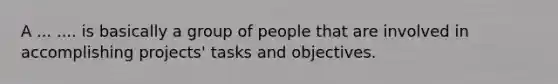 A ... .... is basically a group of people that are involved in accomplishing projects' tasks and objectives.