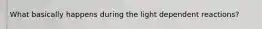 What basically happens during the light dependent reactions?