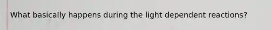 What basically happens during the light dependent reactions?