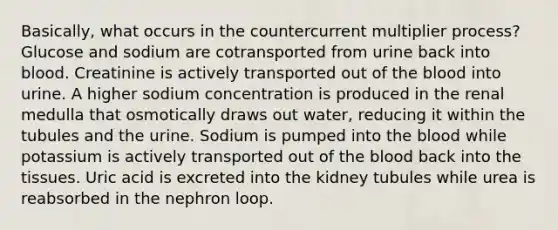 Basically, what occurs in the countercurrent multiplier process? Glucose and sodium are cotransported from urine back into blood. Creatinine is actively transported out of <a href='https://www.questionai.com/knowledge/k7oXMfj7lk-the-blood' class='anchor-knowledge'>the blood</a> into urine. A higher sodium concentration is produced in the renal medulla that osmotically draws out water, reducing it within the tubules and the urine. Sodium is pumped into the blood while potassium is actively transported out of the blood back into the tissues. Uric acid is excreted into the kidney tubules while urea is reabsorbed in the nephron loop.