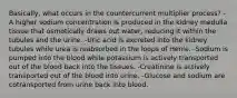 Basically, what occurs in the countercurrent multiplier process? -A higher sodium concentration is produced in the kidney medulla tissue that osmotically draws out water, reducing it within the tubules and the urine. -Uric acid is excreted into the kidney tubules while urea is reabsorbed in the loops of Henle. -Sodium is pumped into the blood while potassium is actively transported out of the blood back into the tissues. -Creatinine is actively transported out of the blood into urine. -Glucose and sodium are cotransported from urine back into blood.