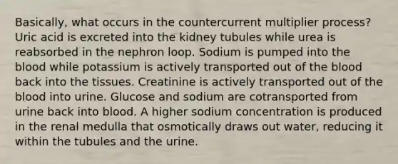 Basically, what occurs in the countercurrent multiplier process? Uric acid is excreted into the kidney tubules while urea is reabsorbed in the nephron loop. Sodium is pumped into <a href='https://www.questionai.com/knowledge/k7oXMfj7lk-the-blood' class='anchor-knowledge'>the blood</a> while potassium is actively transported out of the blood back into the tissues. Creatinine is actively transported out of the blood into urine. Glucose and sodium are cotransported from urine back into blood. A higher sodium concentration is produced in the renal medulla that osmotically draws out water, reducing it within the tubules and the urine.