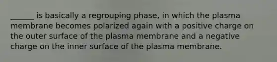 ______ is basically a regrouping phase, in which the plasma membrane becomes polarized again with a positive charge on the outer surface of the plasma membrane and a negative charge on the inner surface of the plasma membrane.