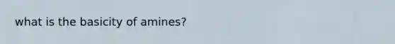 what is the basicity of amines?
