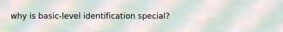 why is basic-level identification special?