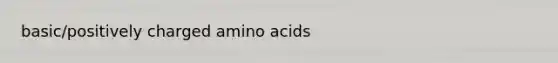 basic/positively charged <a href='https://www.questionai.com/knowledge/k9gb720LCl-amino-acids' class='anchor-knowledge'>amino acids</a>