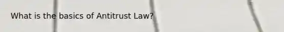 What is the basics of Antitrust Law?