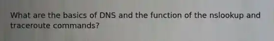 What are the basics of DNS and the function of the nslookup and traceroute commands?