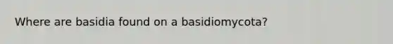 Where are basidia found on a basidiomycota?