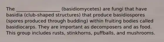 The ___________________ (basidiomycetes) are fungi that have basidia (club-shaped structures) that produce basidiospores (spores produced through budding) within fruiting bodies called basidiocarps. They are important as decomposers and as food. This group includes rusts, stinkhorns, puffballs, and mushrooms.