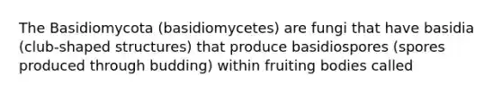 The Basidiomycota (basidiomycetes) are fungi that have basidia (club-shaped structures) that produce basidiospores (spores produced through budding) within fruiting bodies called