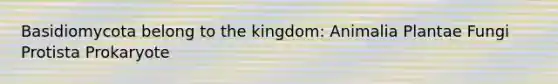 Basidiomycota belong to the kingdom: Animalia Plantae Fungi Protista Prokaryote
